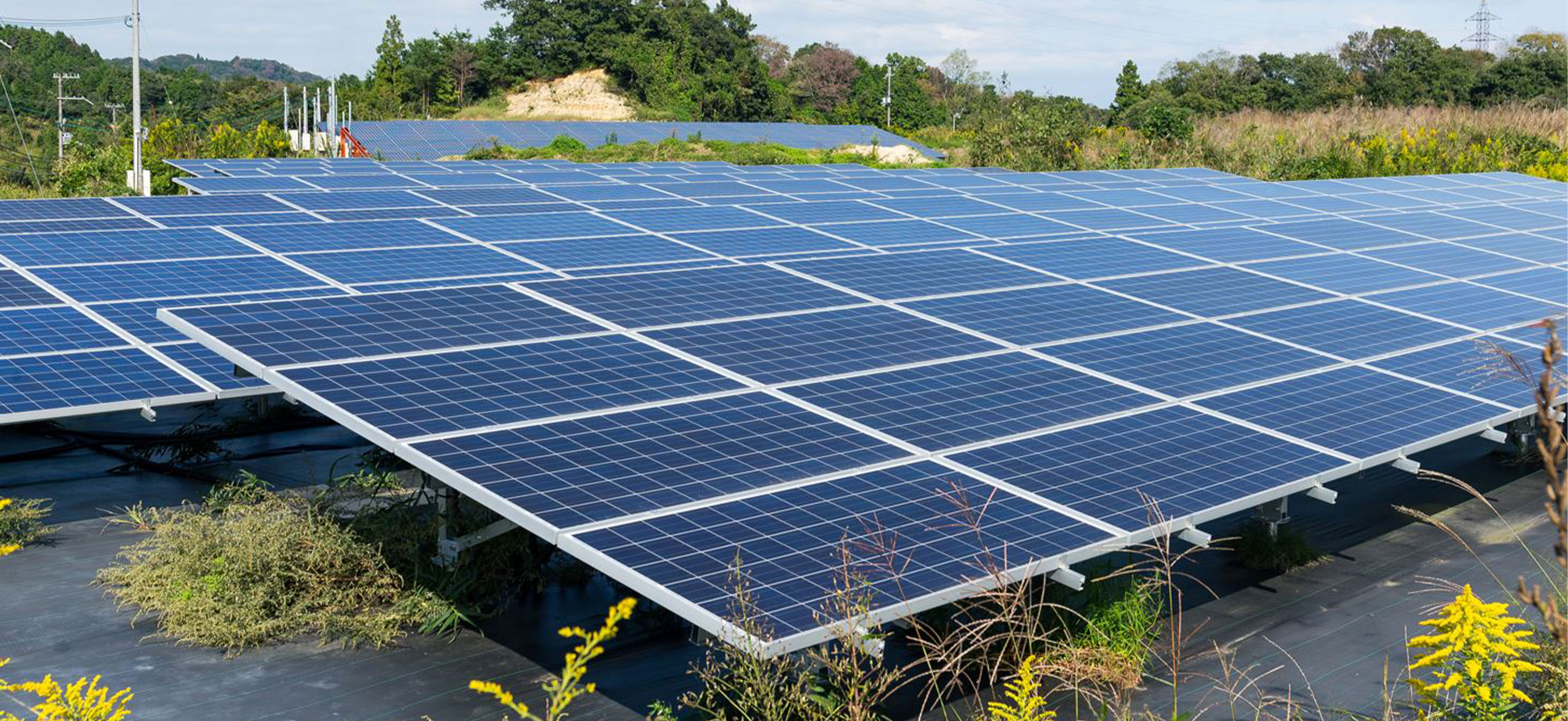 Residential Solar Leasing Services with Power Camel