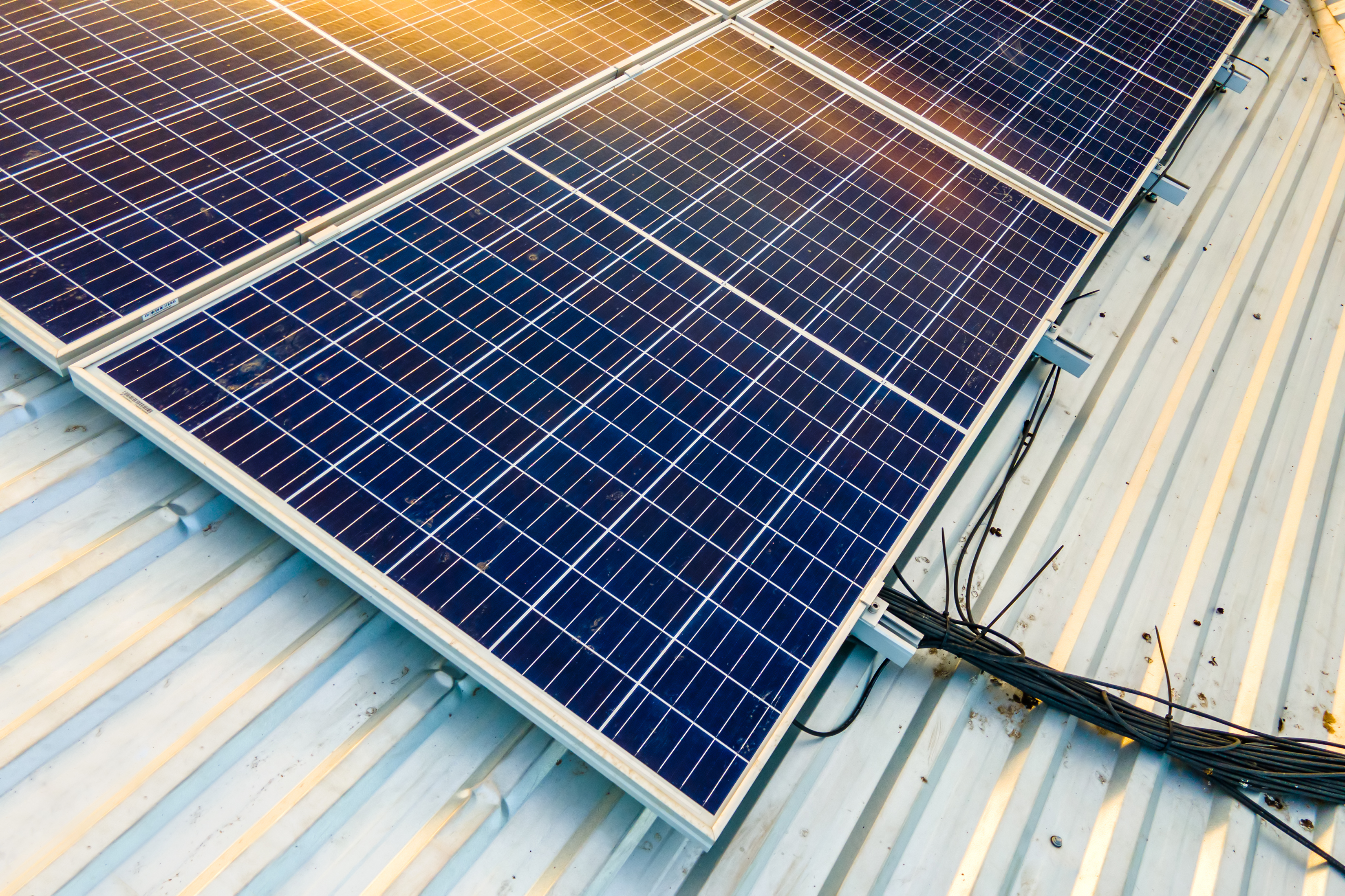 Saving on Solar with Power Camel