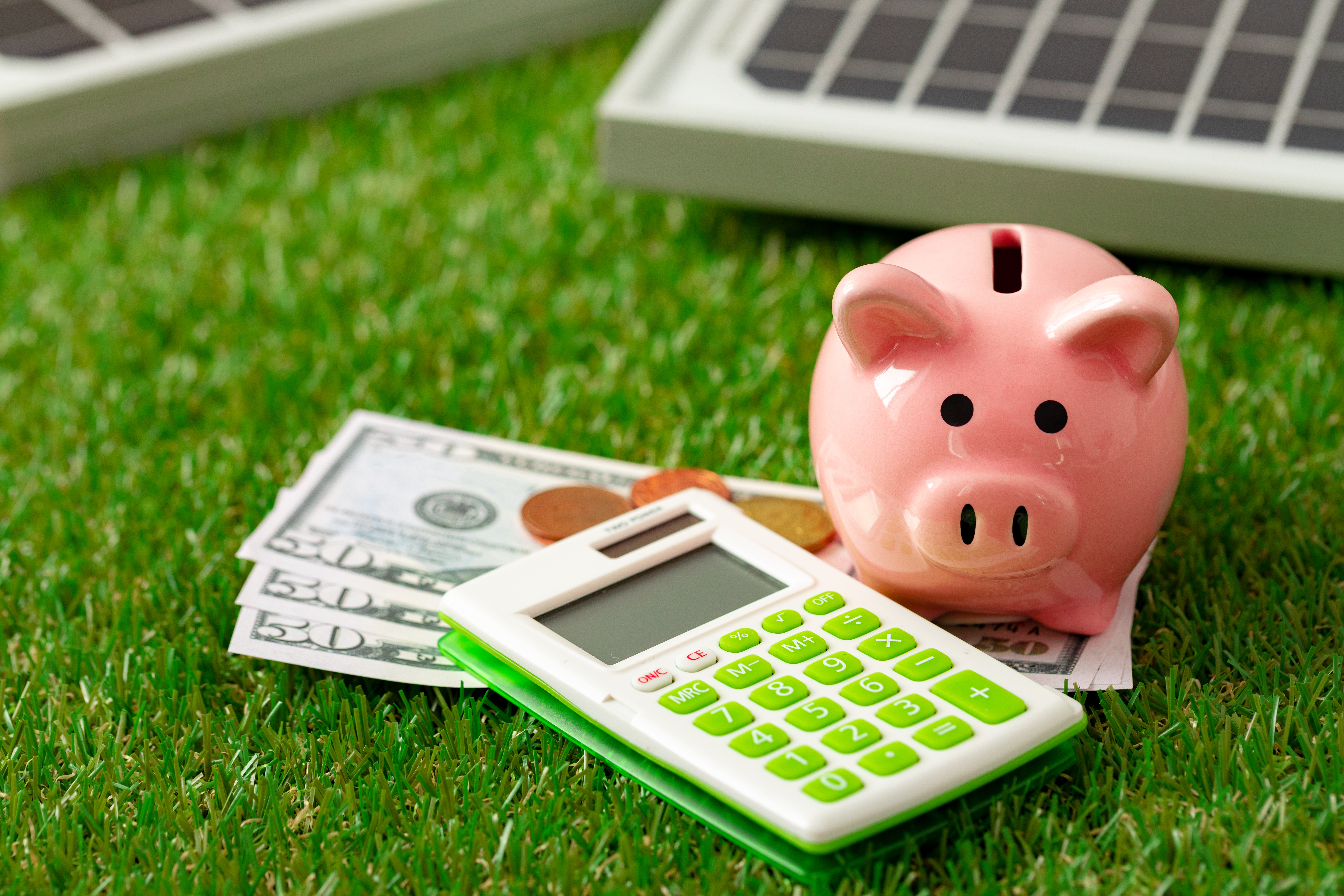 Saving on Solar with Power Camel